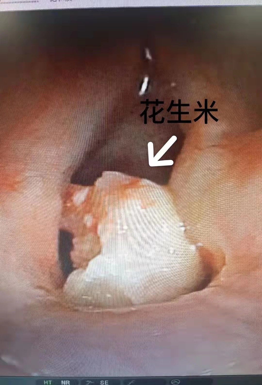 1648006294719442.jpg 微信图片_20220322162647.jpg